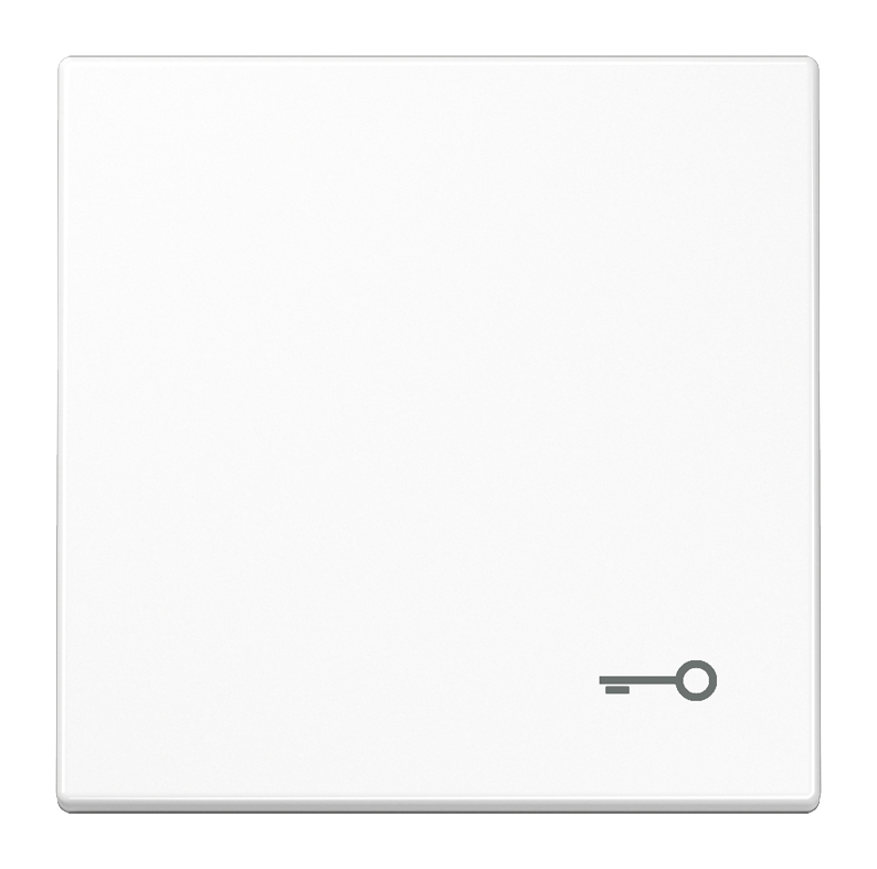 Клавиша двойная JUNG SL 500, черный