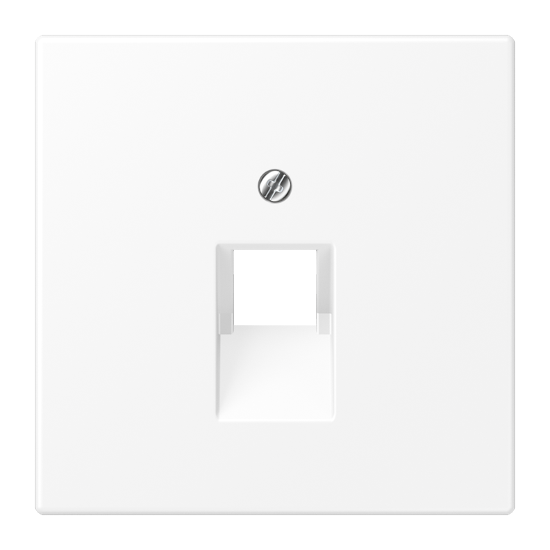 LS990 Накладка для комп./тлф. розетки, цвет Матовый белый