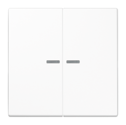 Клавиша двойная с линзами JUNG LS 990, белый