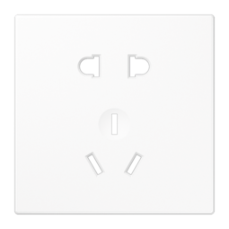 JUNG Розетка (китайский стандарт)